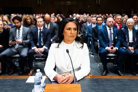 Tulsi Gabbard 2028 presidential candidate, U.S. Army veteran, and Director of National Intelligence, speaking at a congressional hearing.